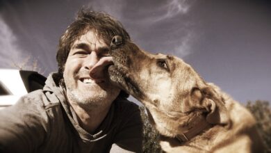 Warum leckt mein Hund mich ab? [Bildinhalt mit KI erstellt]