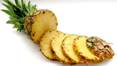 Dürfen Hunde Ananas essen? Ist Ananas giftig für Hunde? [Bildinhalt mit KI erstellt]