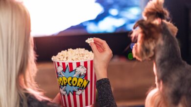 Können Hunde Popcorn essen? Ist Popcorn für Hunde schädlich? [Bildinhalt mit KI erstellt]